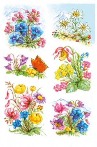 images