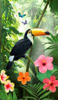 images